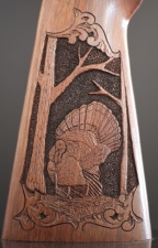 Wild Turkey Detail(Sold)