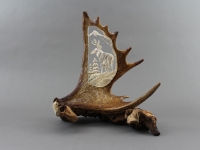 Carved Whitetail in Moose Antler